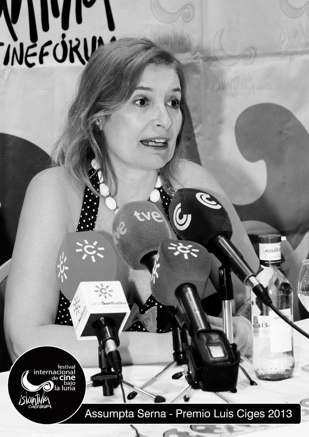 ASSUMPTA SERNA - PREMIO LUIS CIGES 2013