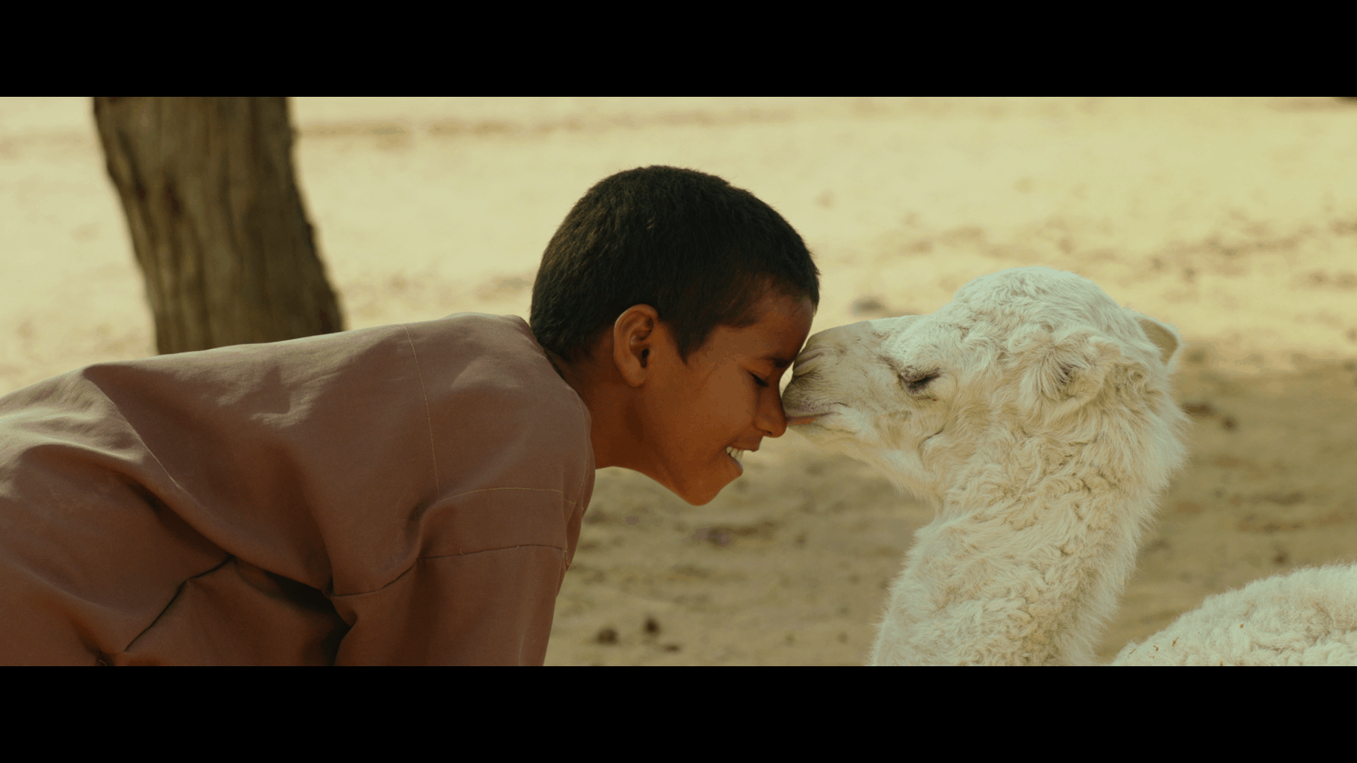 Palabras de caramelo