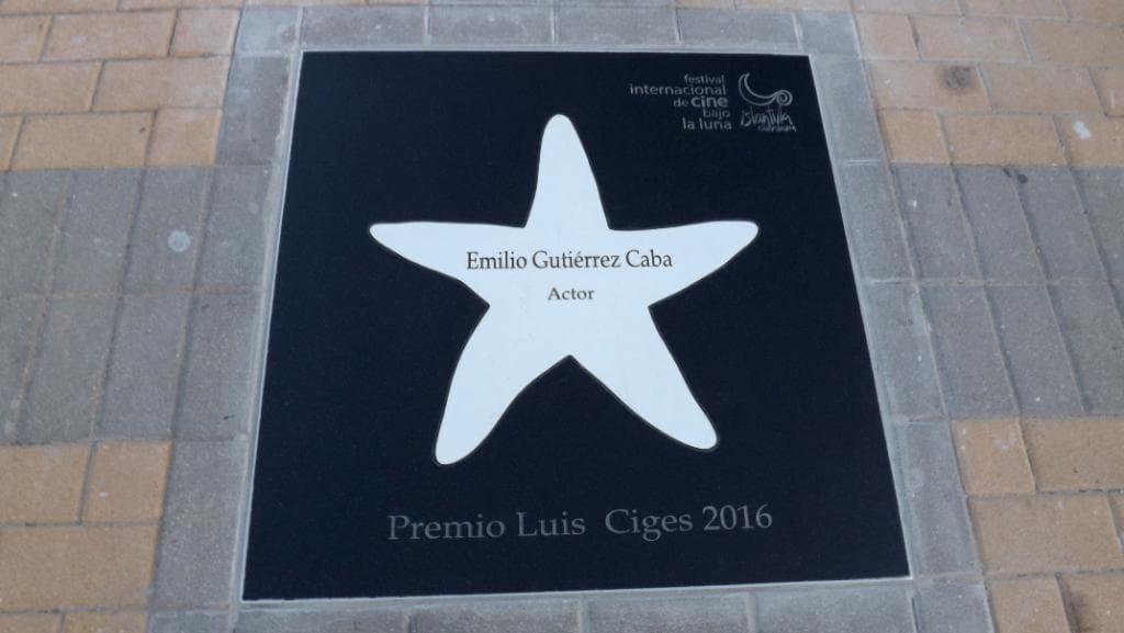 Emillio Gutiérrez Caba