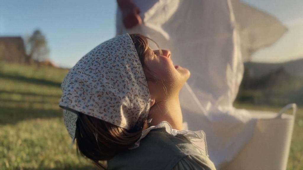 Cortometrajes. Toma 5