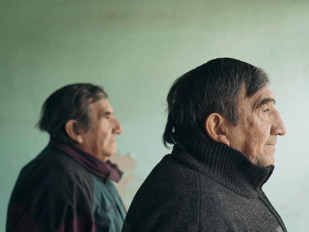 Cortometrajes toma 8