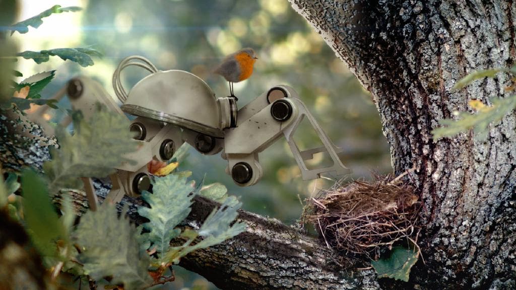 Cortometrajes toma 9