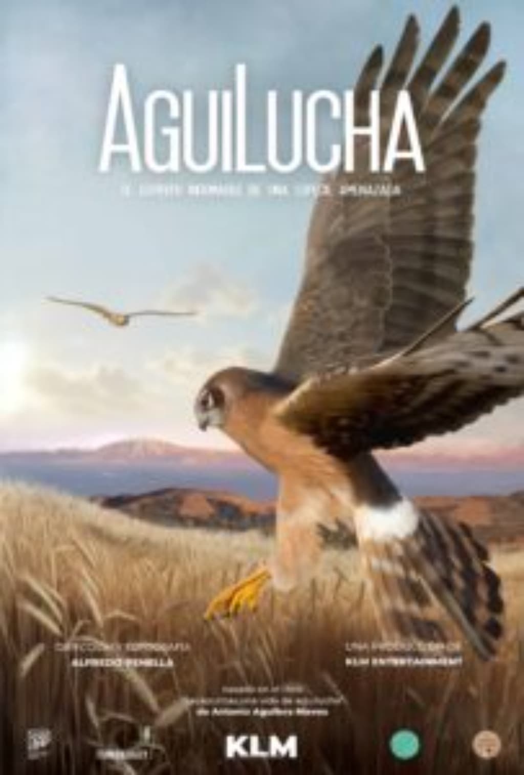 Aguilucha Docufórum