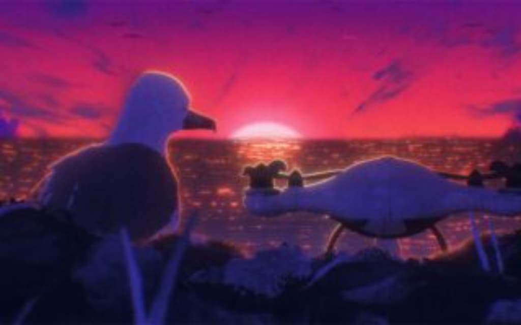 BIRD DRONE, Cortometrajes Segunda Sesión