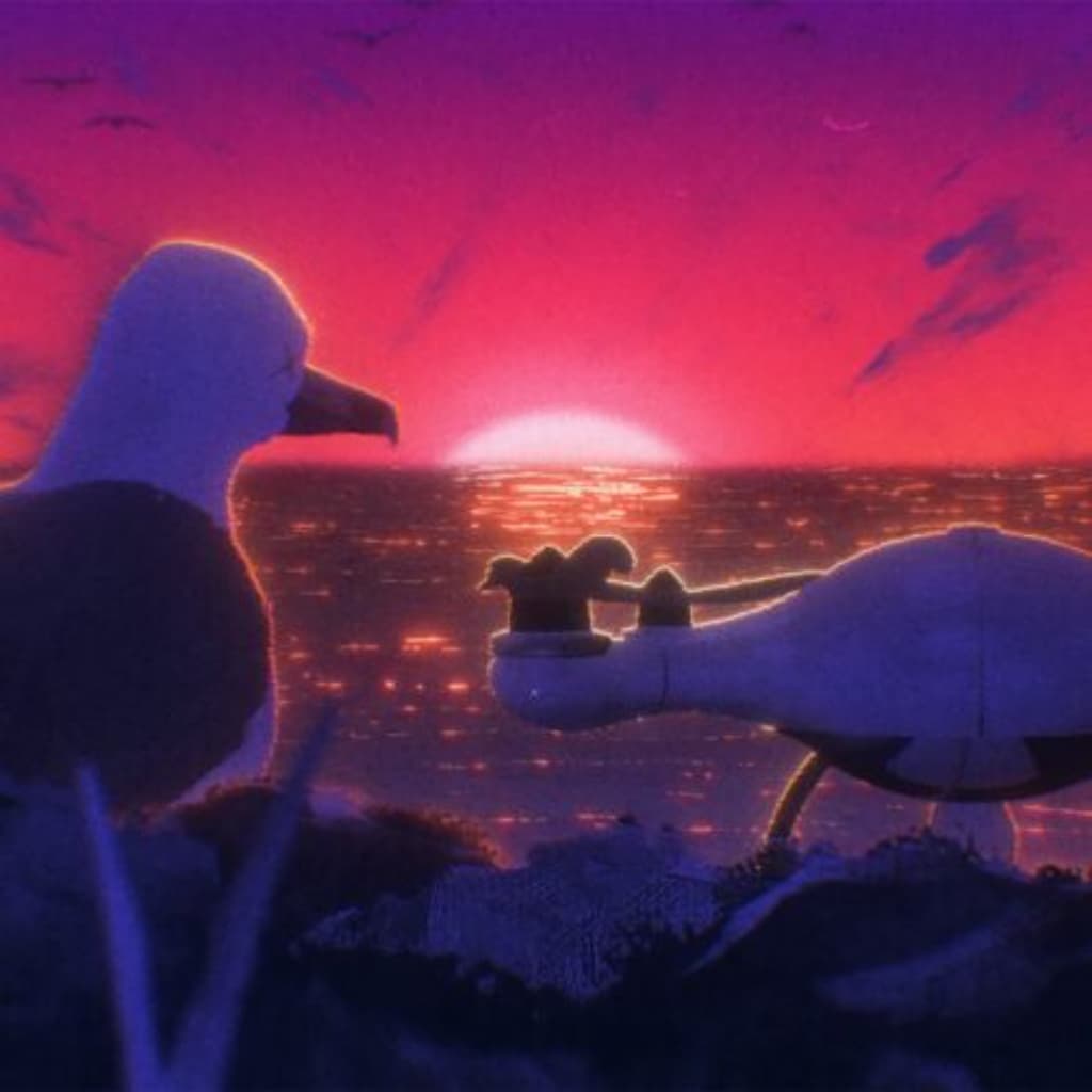 BIRD DRONE, Cortometrajes Segunda Sesión