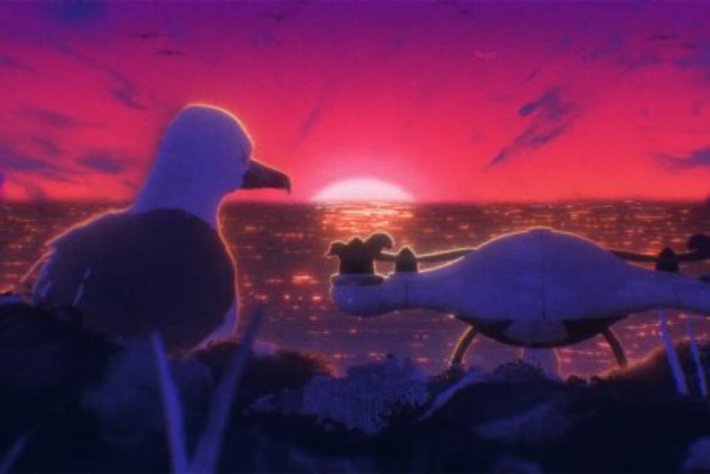 BIRD DRONE, Cortometrajes Segunda Sesión